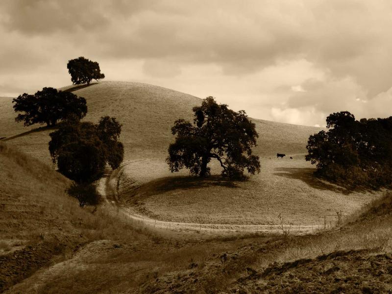 sudoku mouse controls