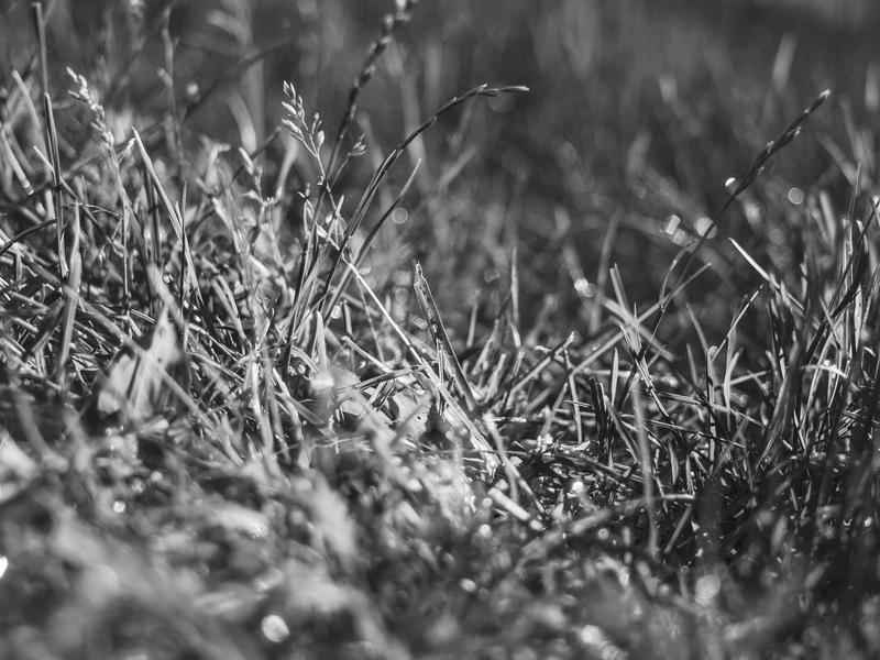 sudoku mouse controls screenshot 3